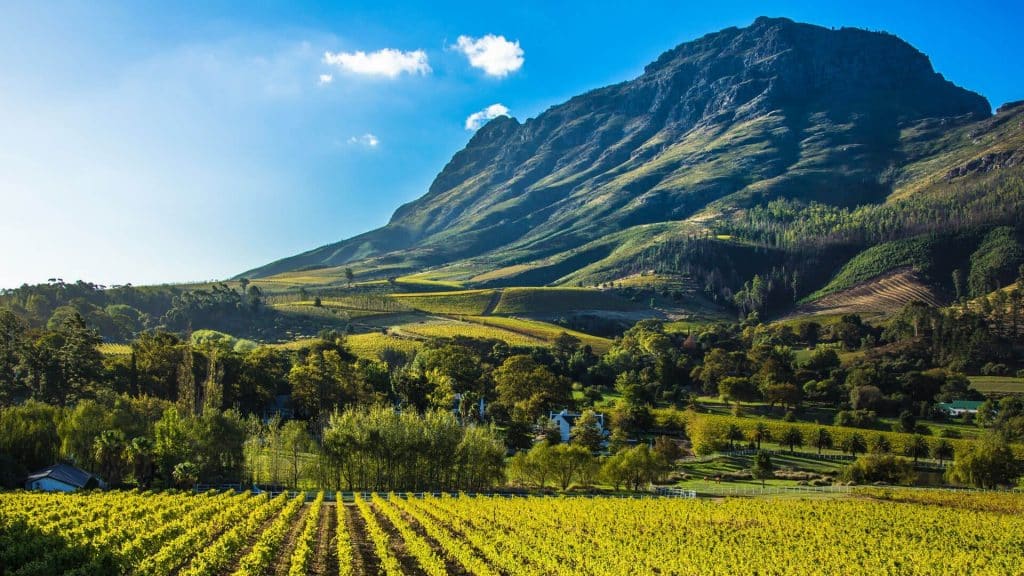 Cape Winelands_andBeyond