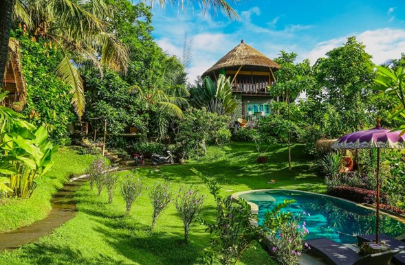 Balian Treehouse Airbnb in Indonesia