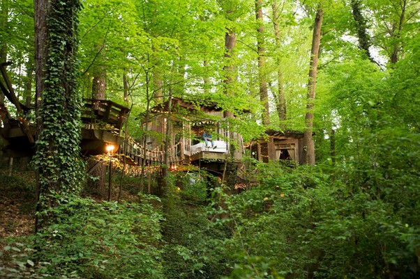 Forest Airbnb Atlanta