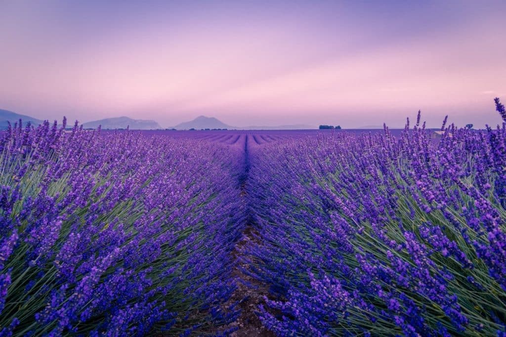 Provence France_Relaxing Destinations