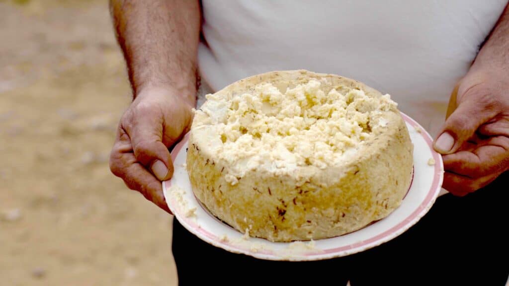 10 of the world's weirdest and grossest national delicacies to try - if you dare