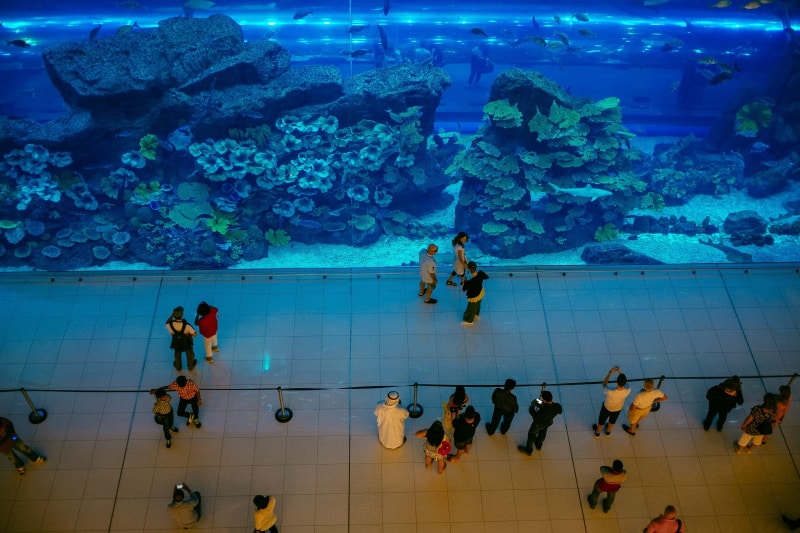 10 of the World's Most Impressive Aquariums