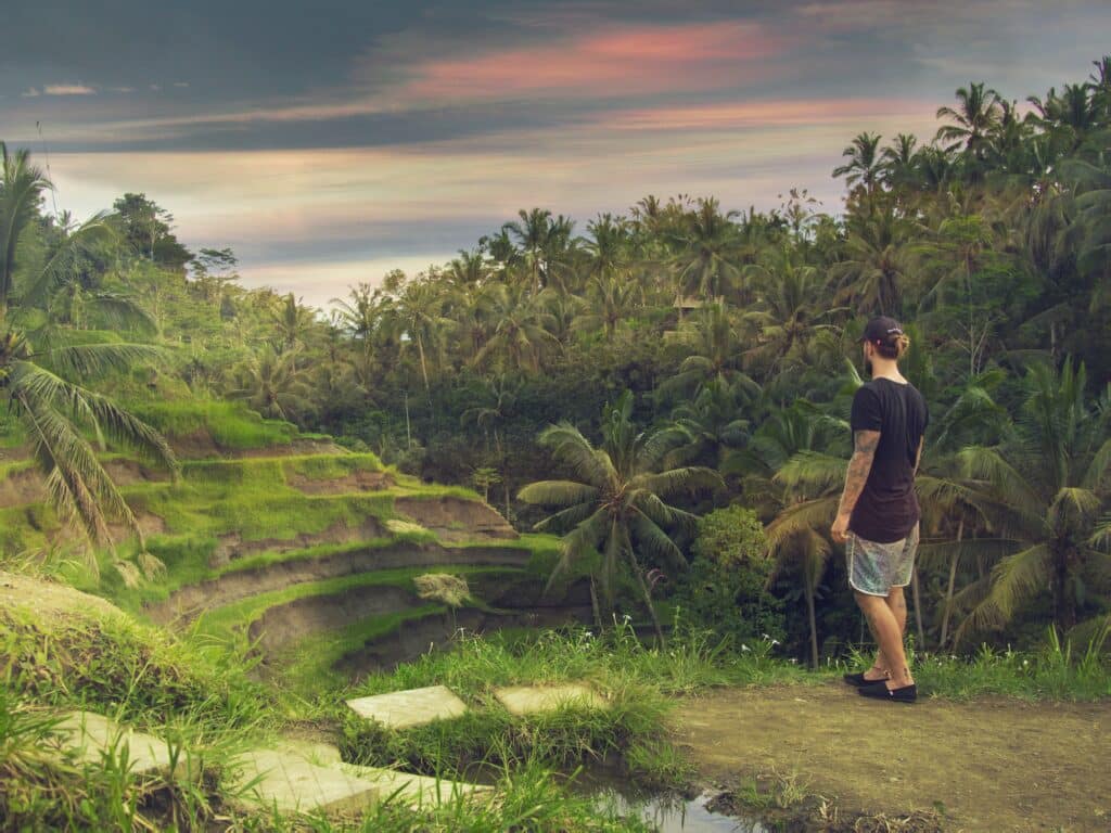 best-digital-nomad-cities-ubud