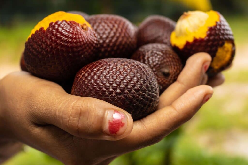 Aguaje Best south american exotic fruits
