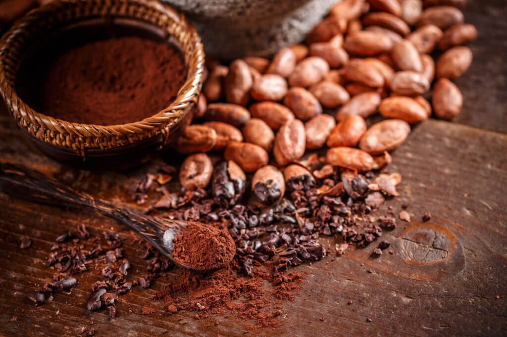 Cacao exotic south american fruits