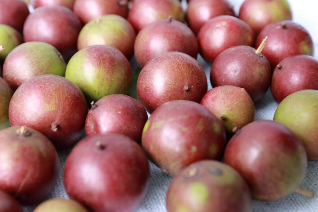 Camu Camu