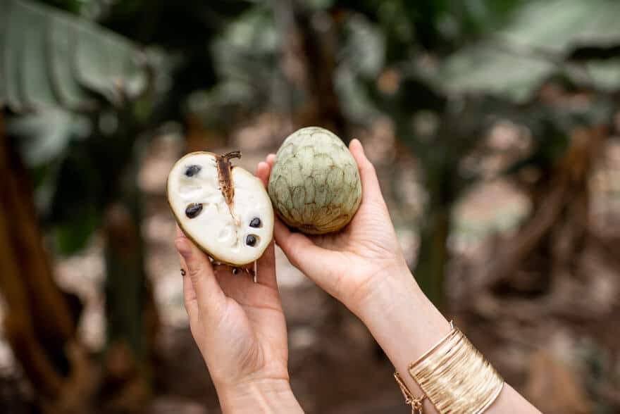 Cherimoya