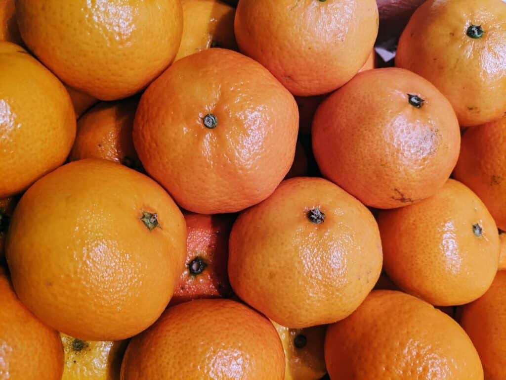 Exotic fruits from asia mandarin