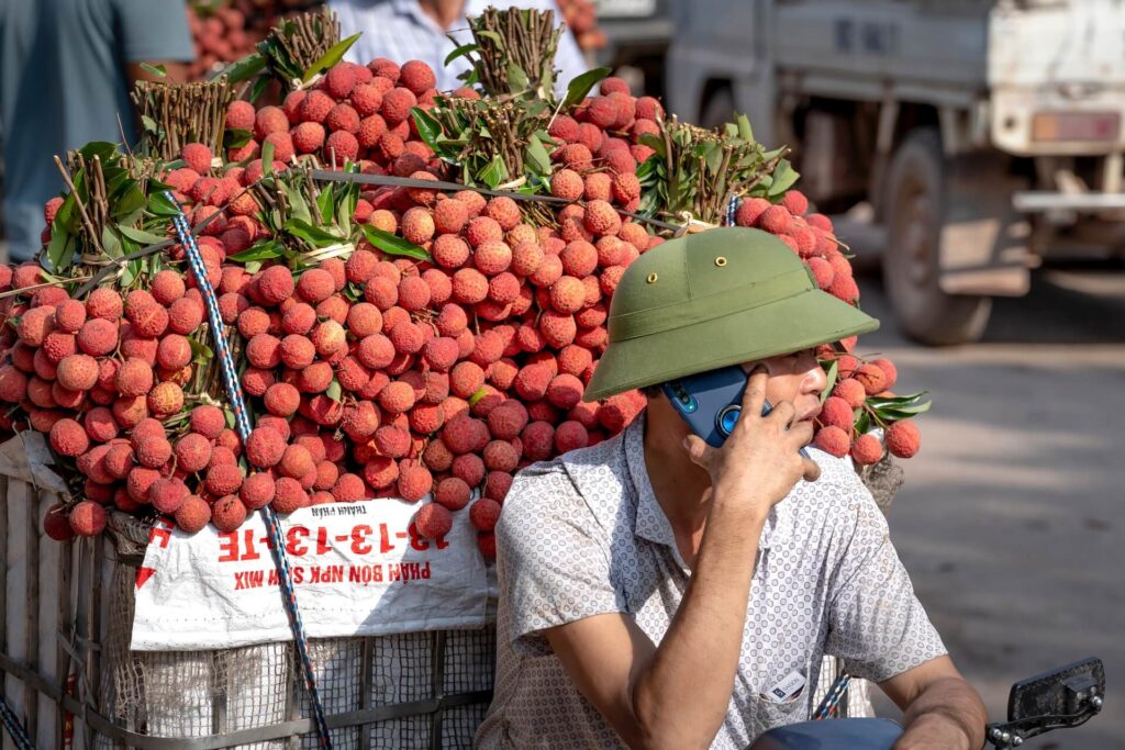 Lychee Exotic fruits you must eat Asian