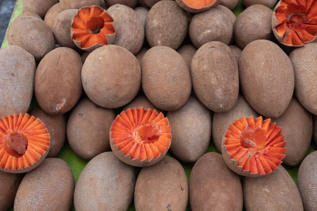 Mamey Sapote