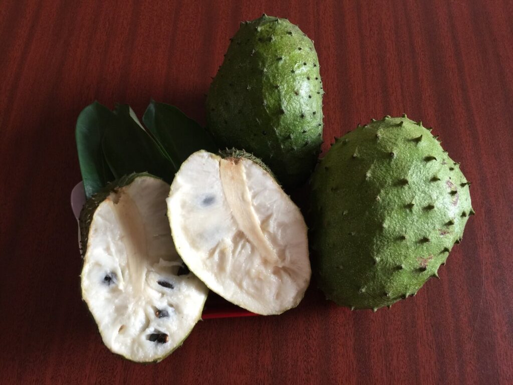 Soursop