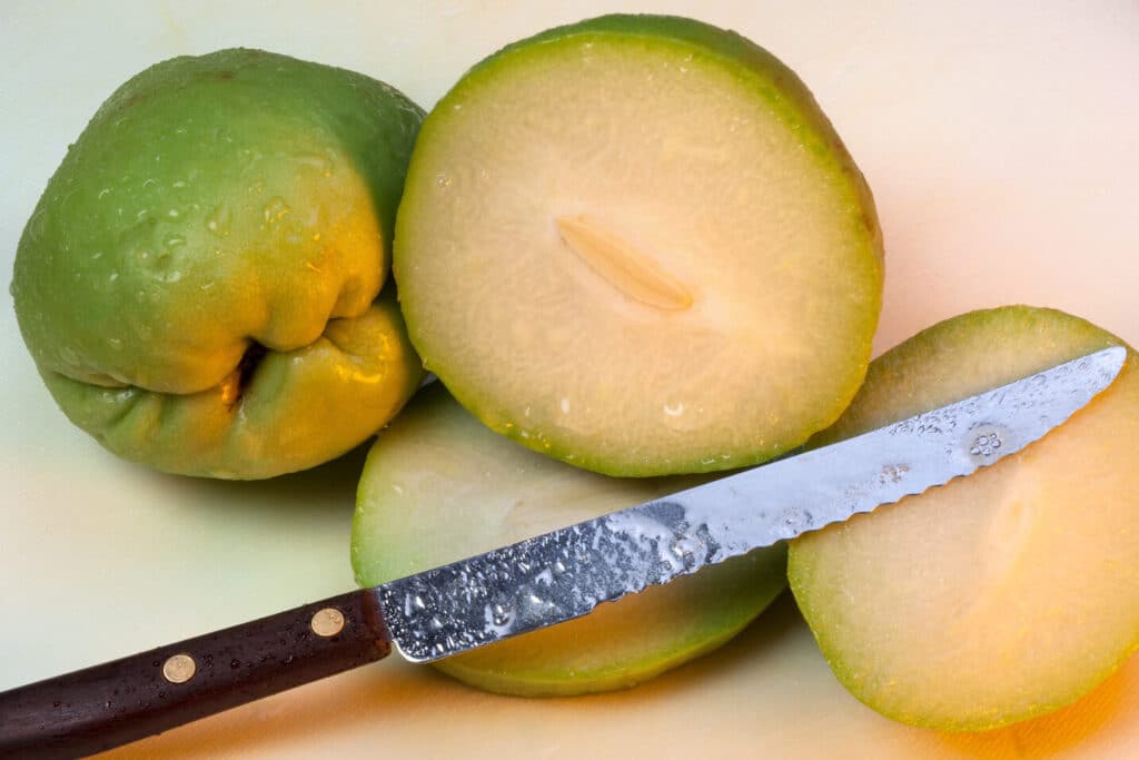 chayote