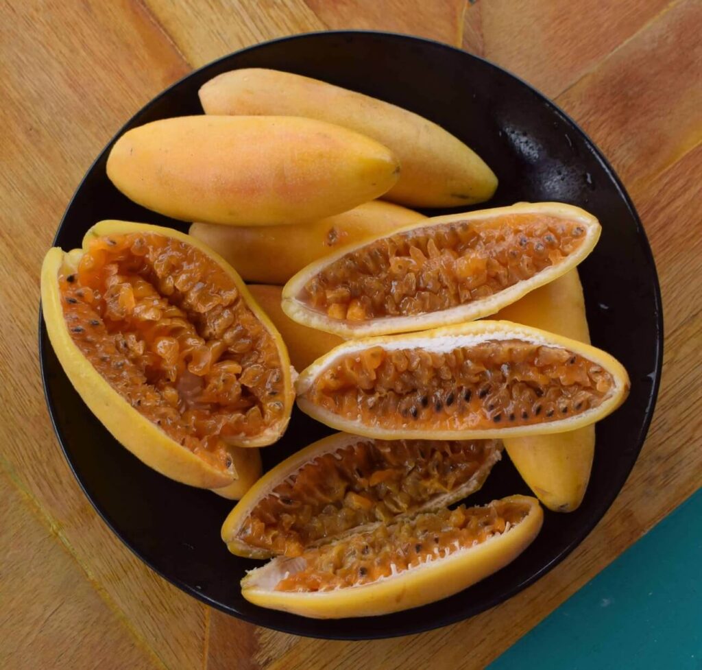 exotic south american fruits tumbo