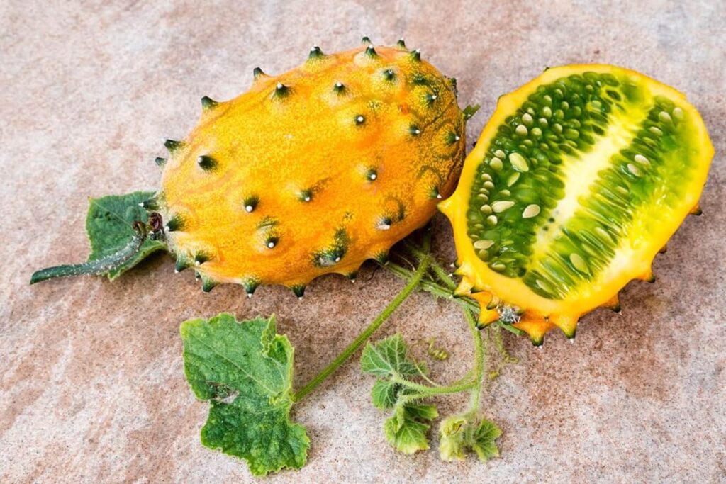 growing-horned-melons 