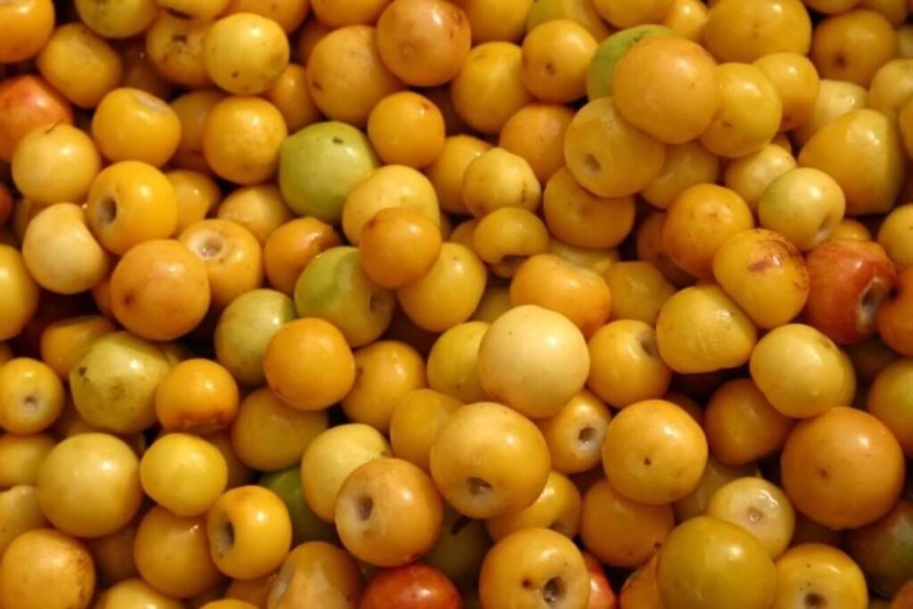 murici exotic fruits
