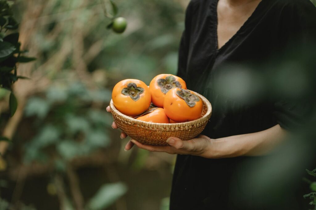 persimmon