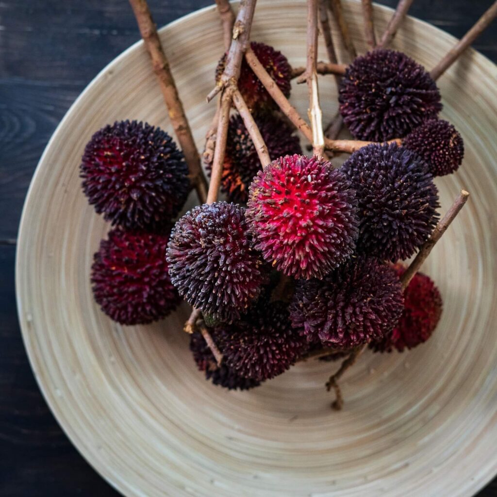 pulasan-tropical-fruits