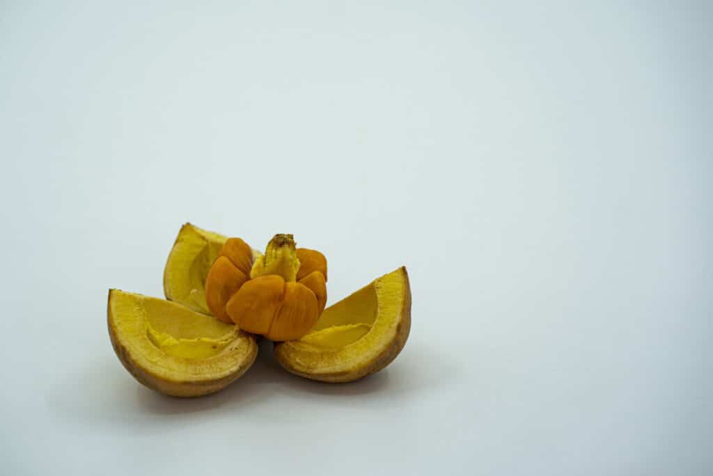 rambai tropical asian fruits