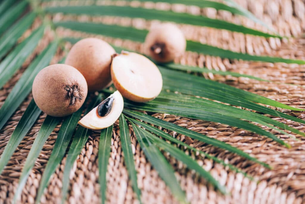 sapodilla