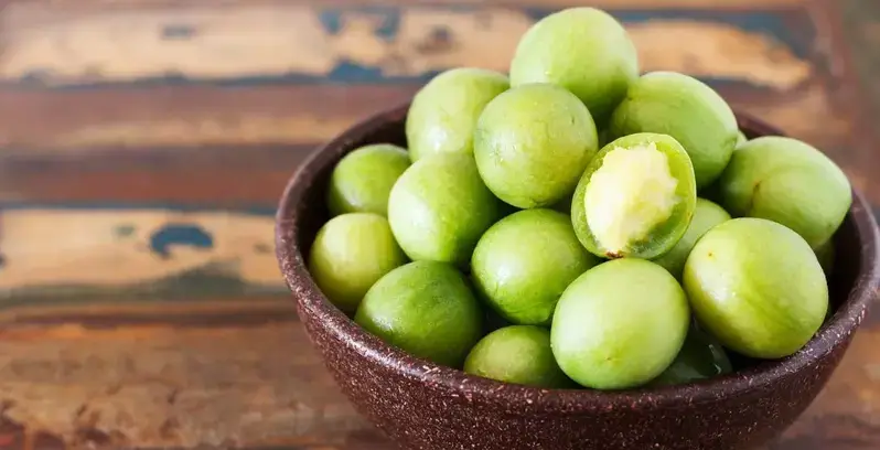 umbu south american fruits