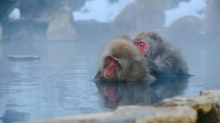 best hot springs in japan