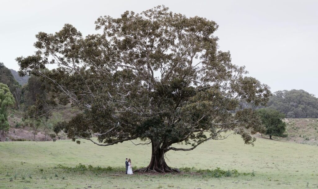 best place to elope