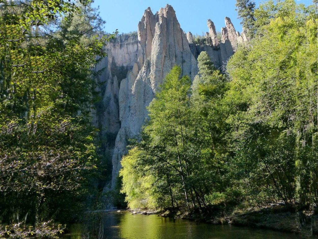 Gila National Forest