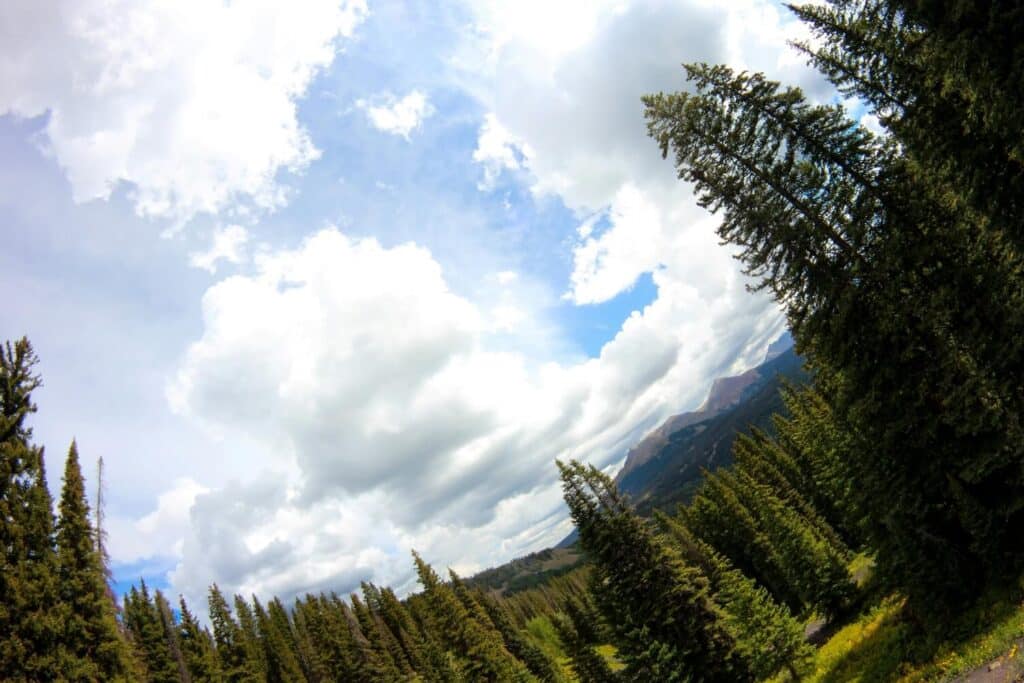 San Juan National Forest