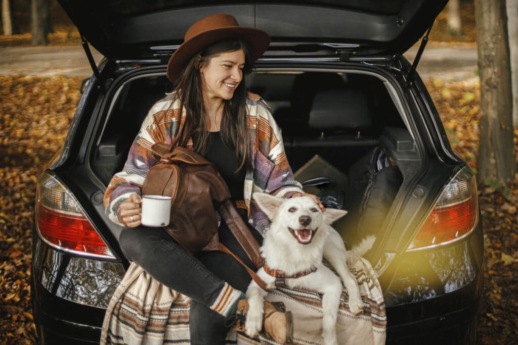 tips for traveling with pets by car