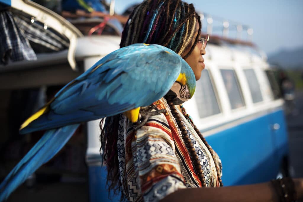 travel with exotic pets