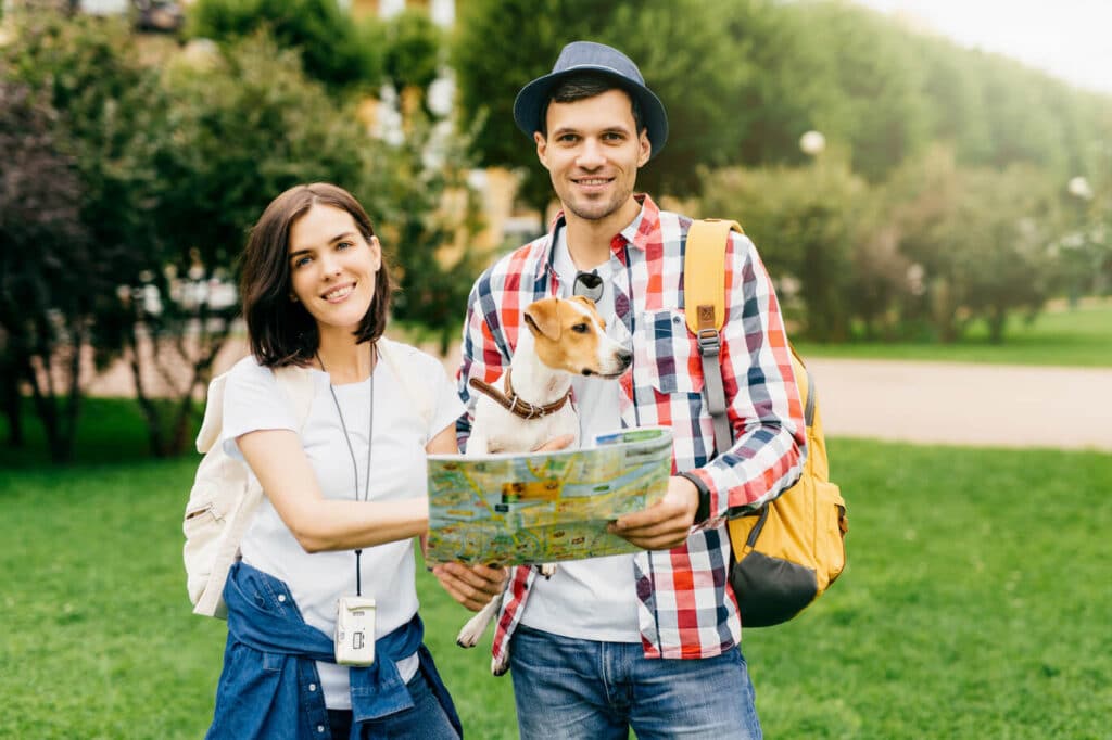 traveling with pets