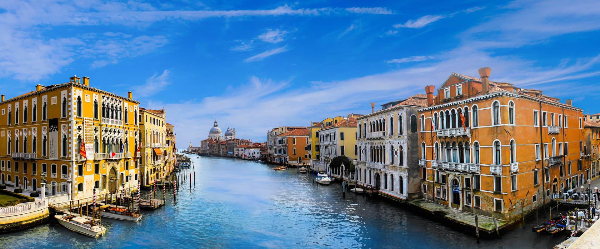 sick in venice