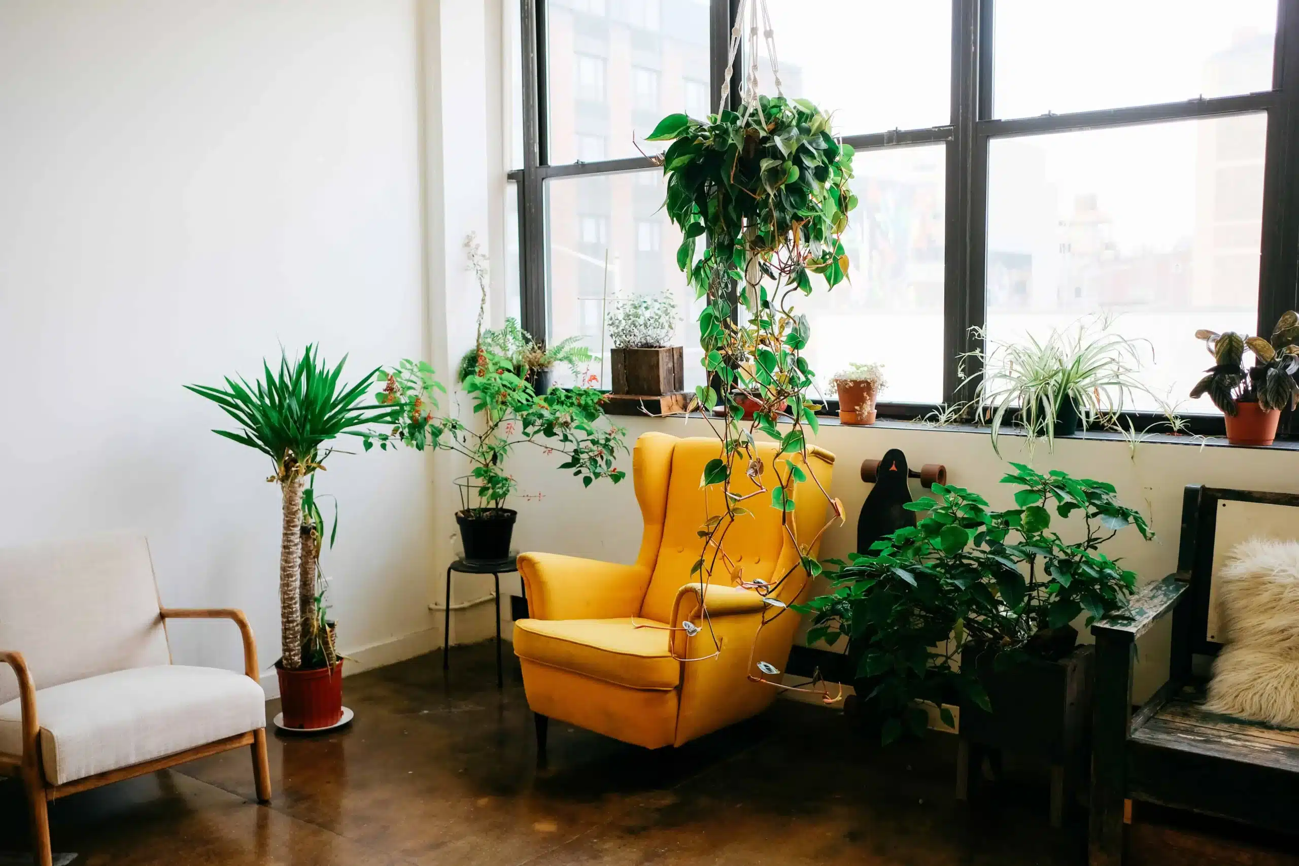 Indoor Forest Bathing