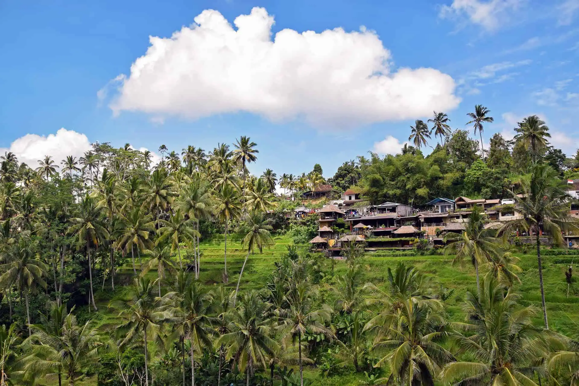 ubud travel tips