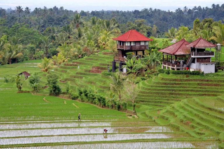 sick in bali
