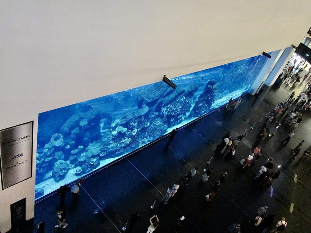 the best aquariums in the world