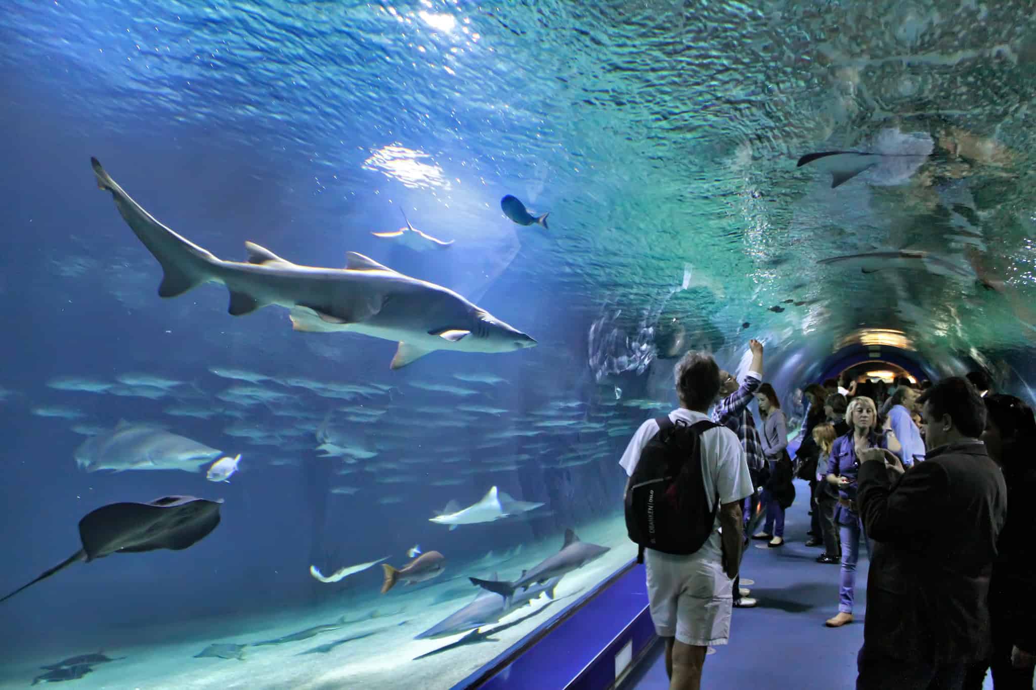 best aquariums in the world