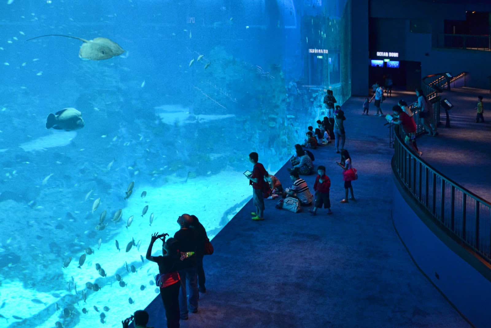 S.E.A. Aquarium