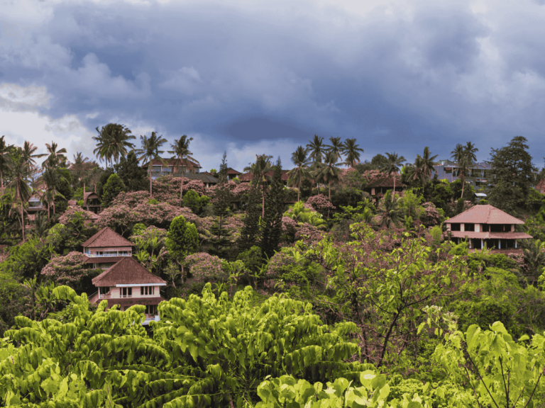sick in ubud