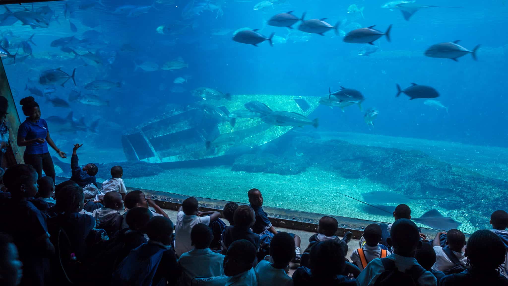 uShaka Marine World