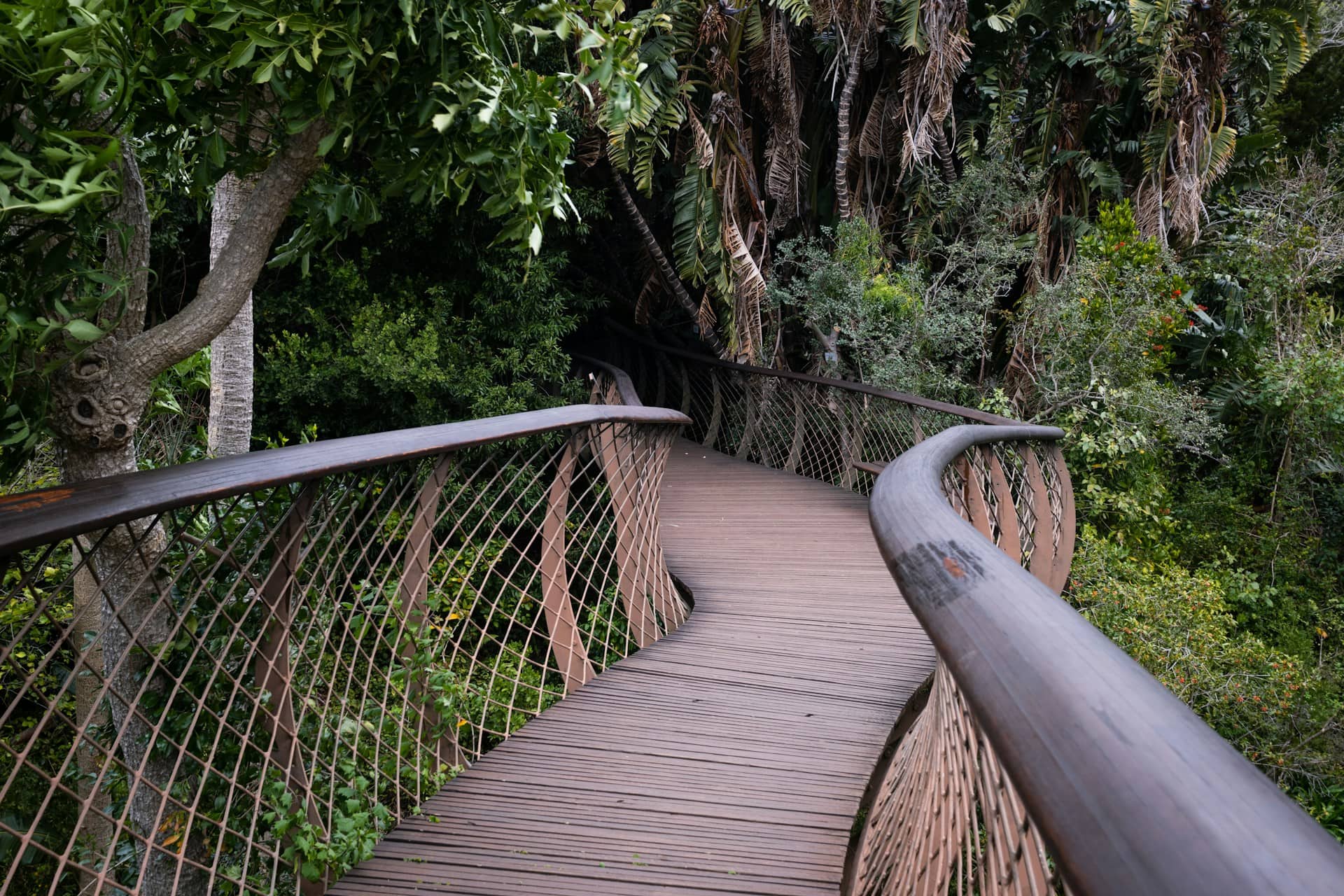 Kirstenbosch National Botanical Garden