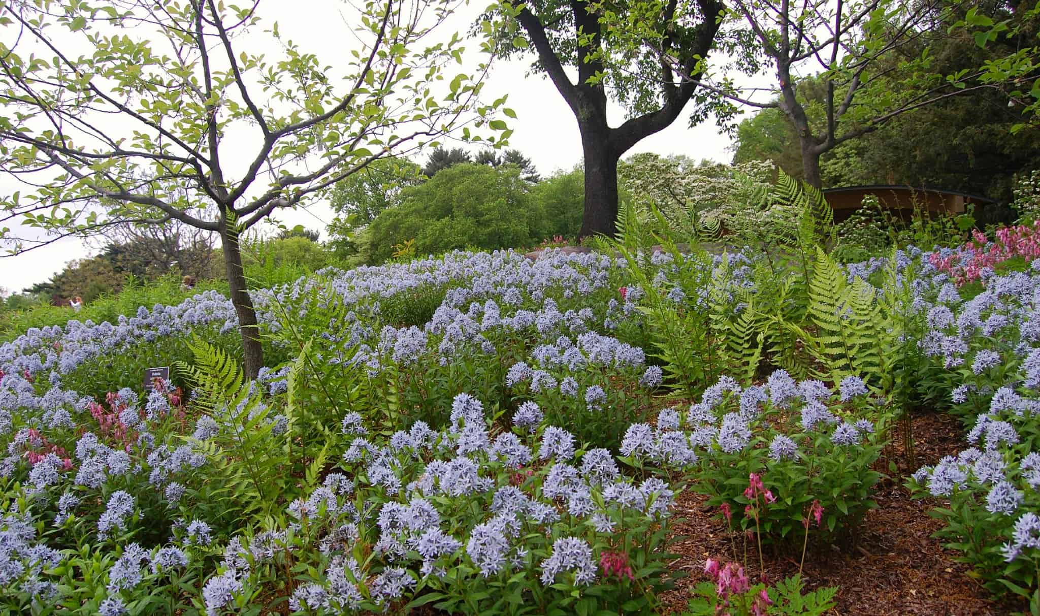 New York Botanical Garden