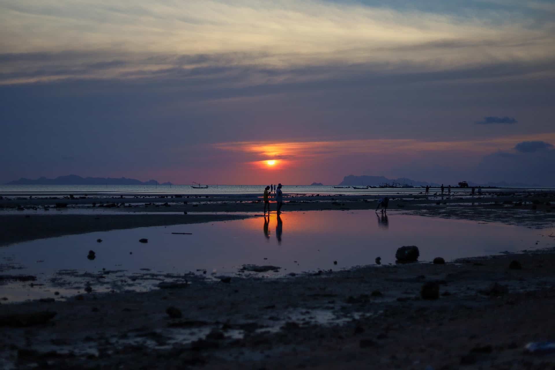 koh samui travel tips