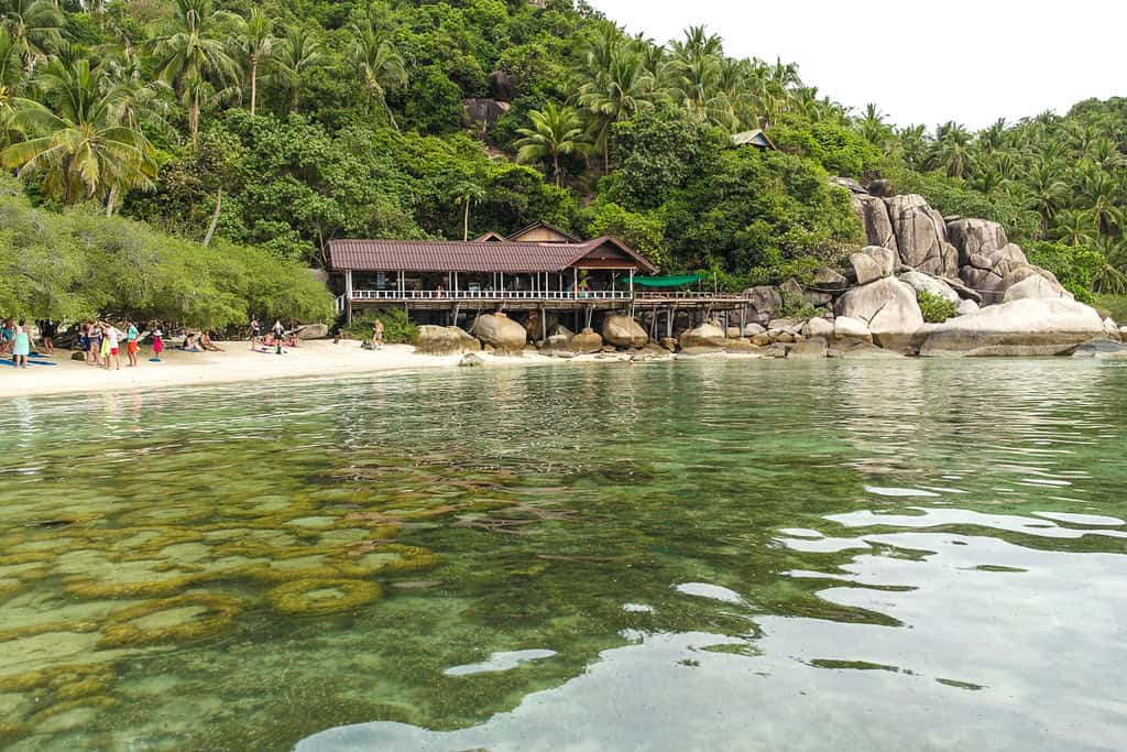 freedom beach thailand