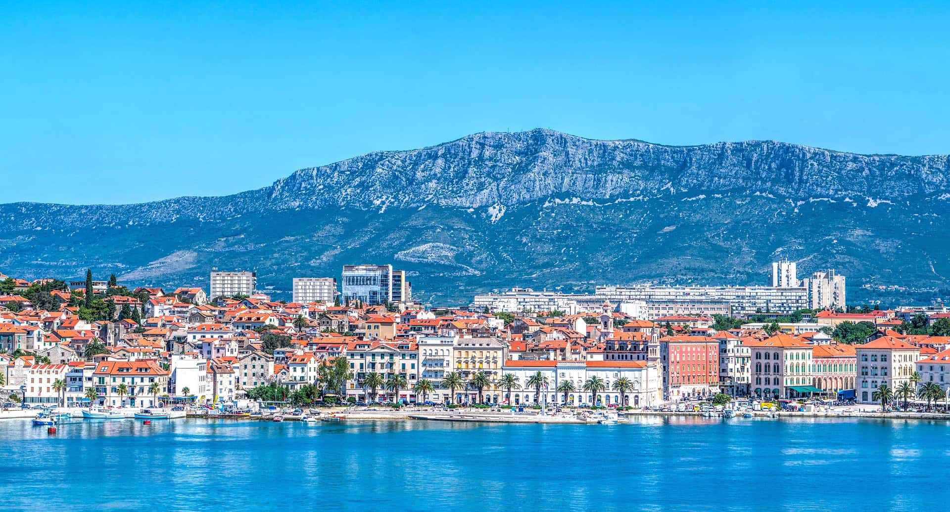 sick in split