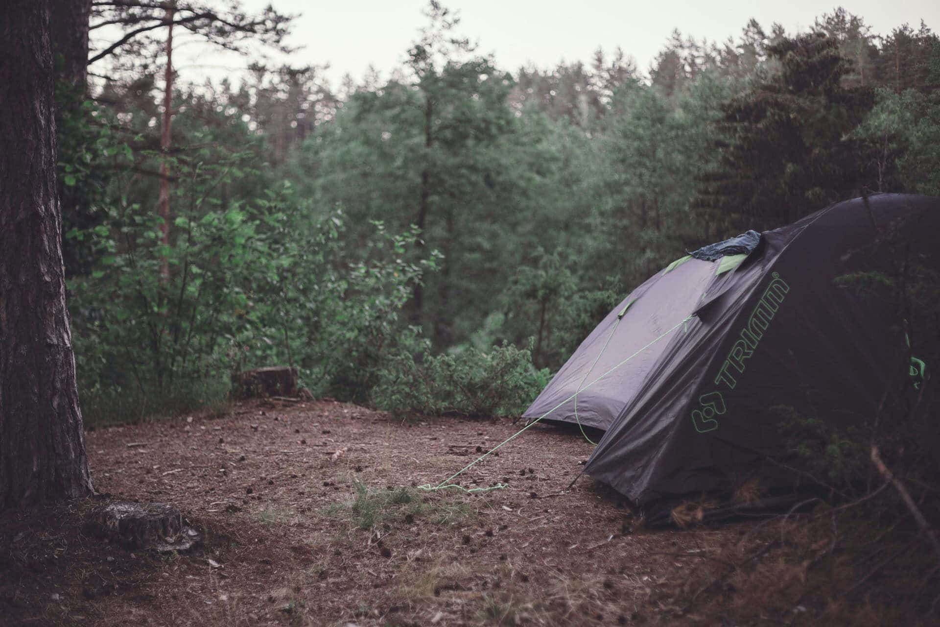 dispersed camping what is it