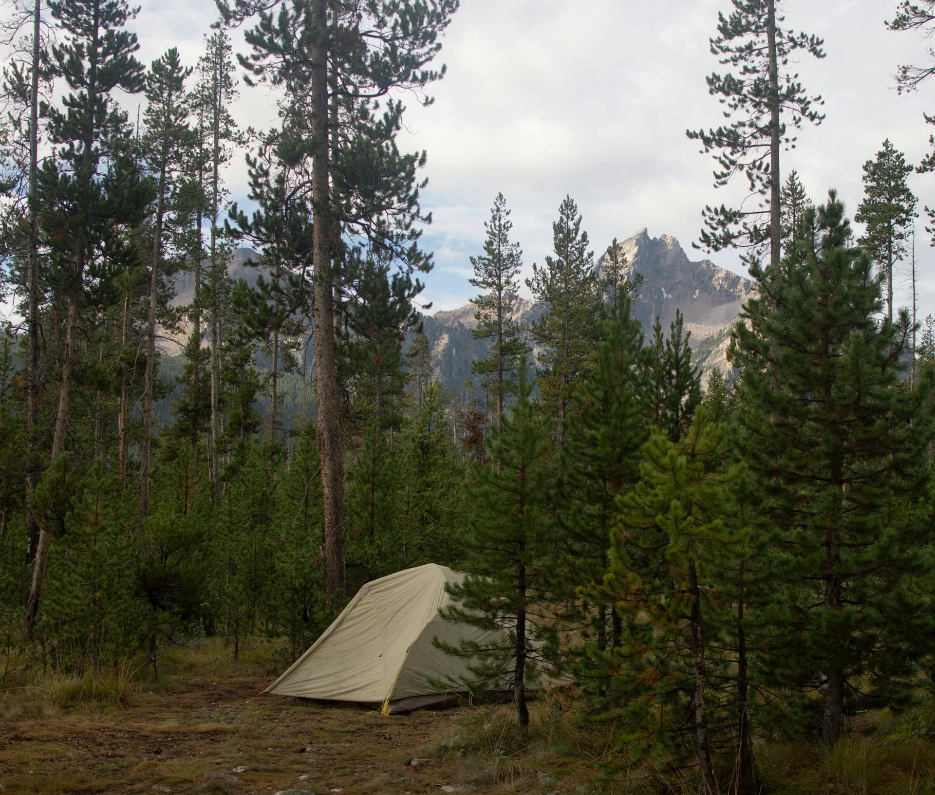 what dispersed camping is