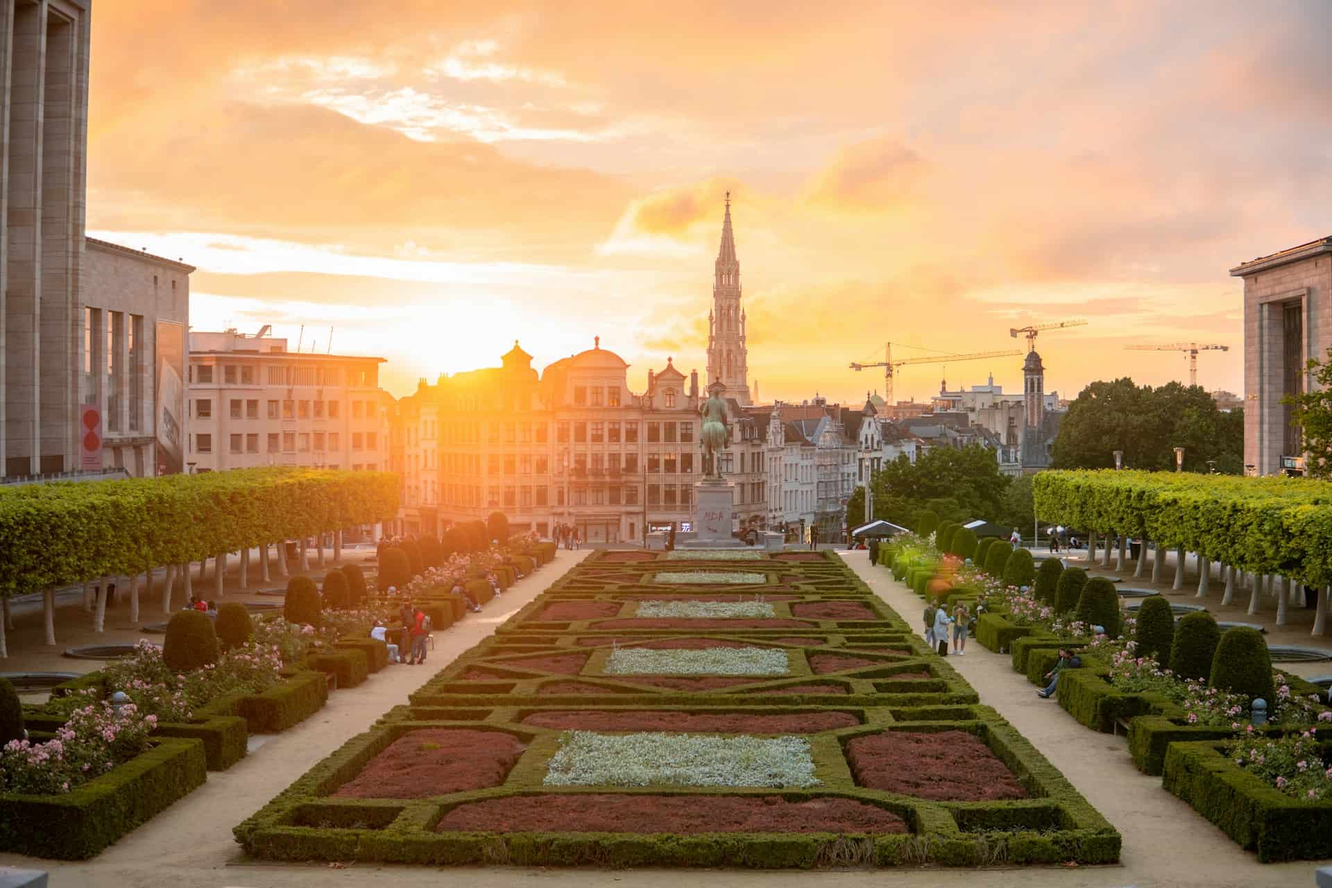doctor in brussels