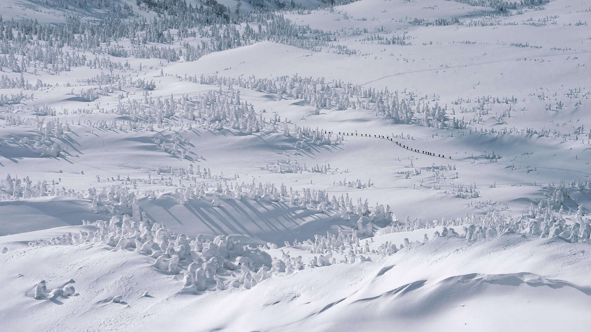 japan skiing