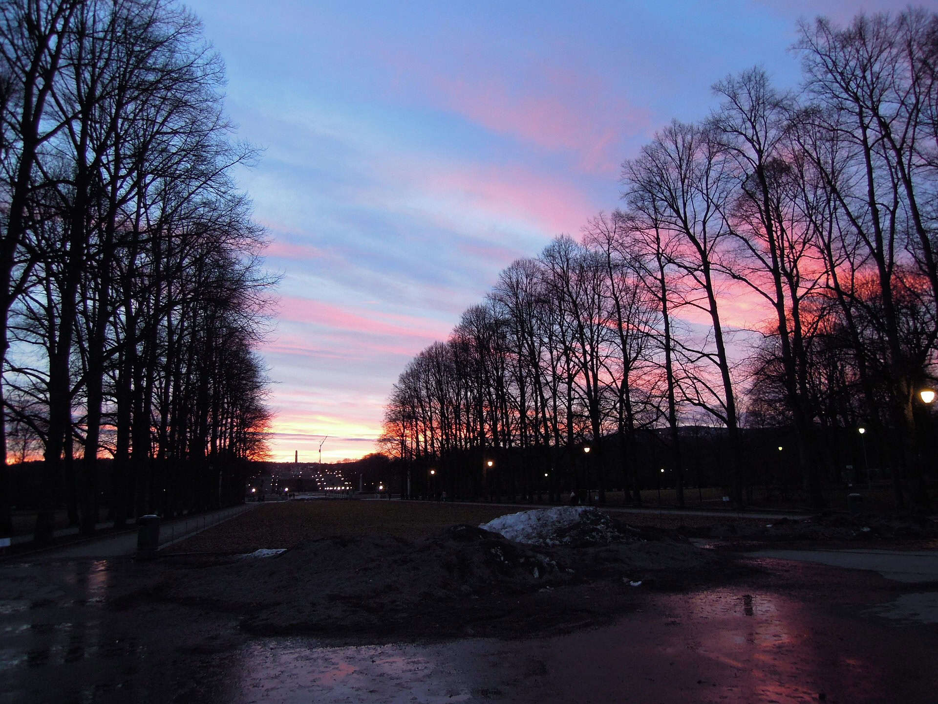 tips for visiting oslo